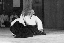 AIKIDŌ KAISO SHINOBU-KAI